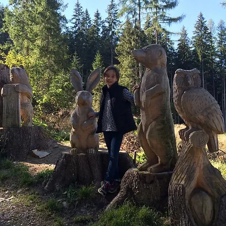 Appartement Sonnwies *